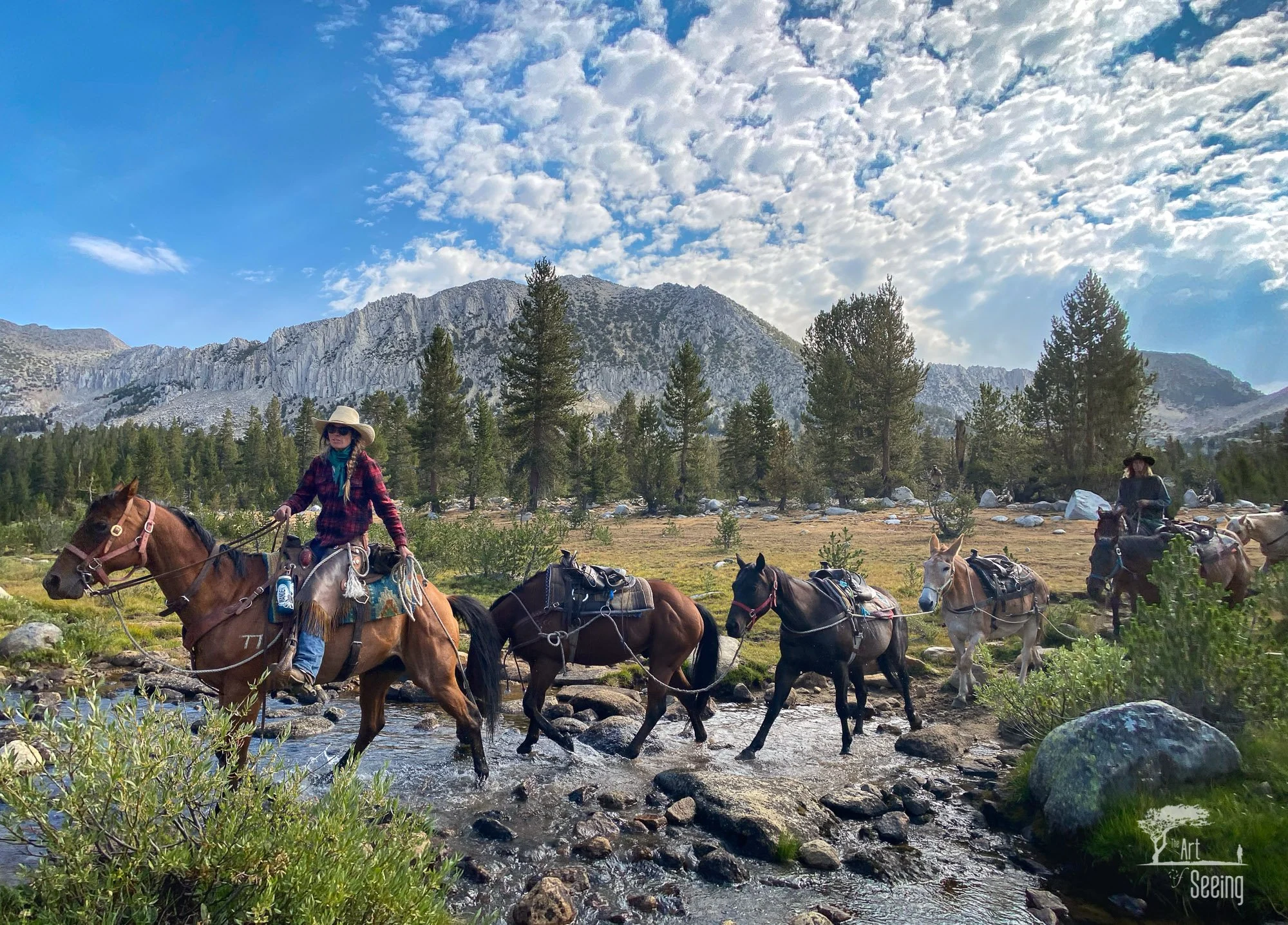 Riders and pack mules crossing a Sierra Nevada meadow, horseback photography pack trip