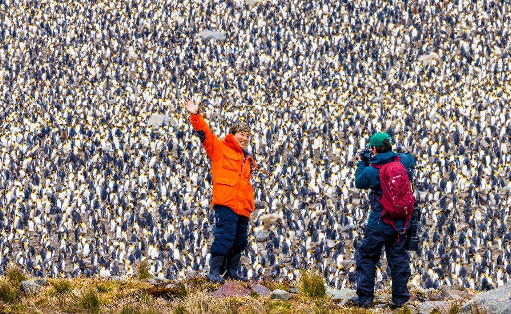 From a past Art of Seeing Antarctica adventure