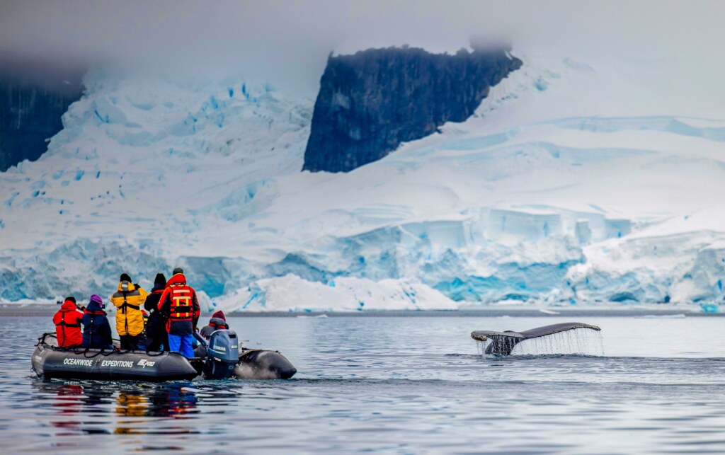 From a past Art of Seeing Antarctica adventure