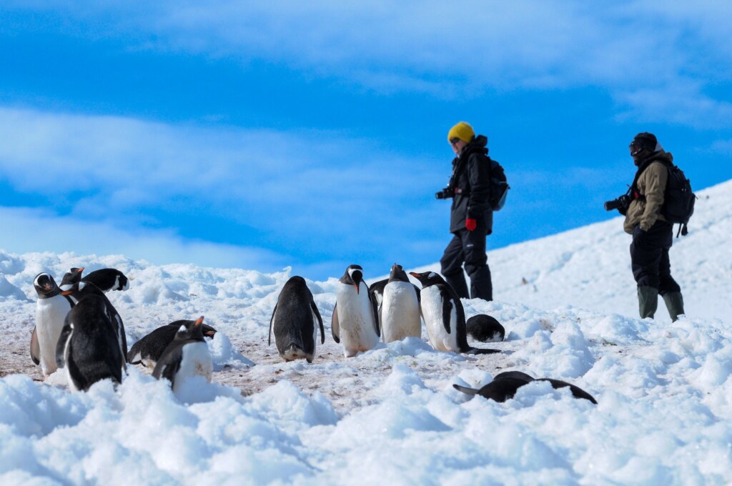 From a past Art of Seeing Antarctica adventure