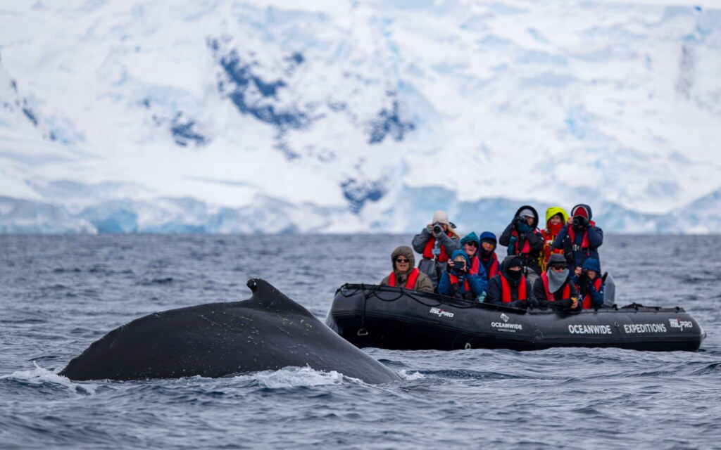From a past Art of Seeing Antarctica adventure