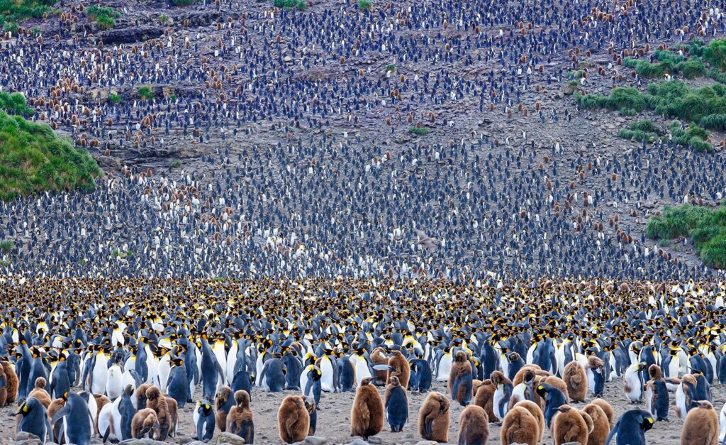 From a past Art of Seeing Antarctica adventure
