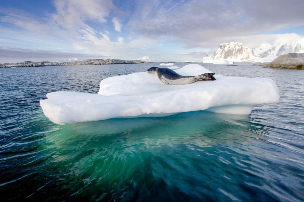 From a past Art of Seeing Antarctica adventure