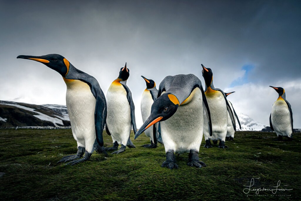 From a past Art of Seeing Antarctica adventure