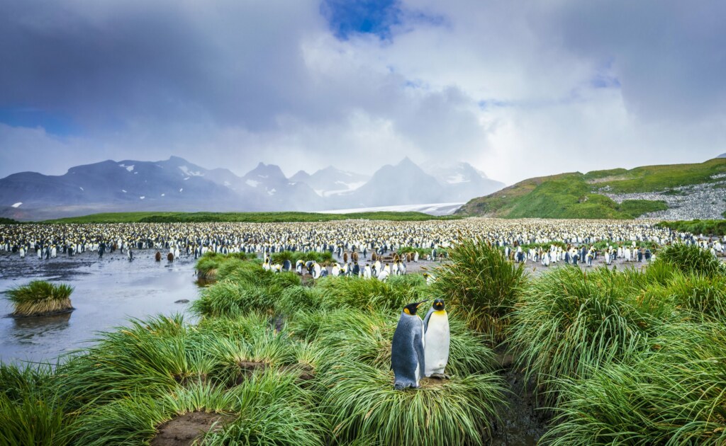 From a past Art of Seeing Antarctica adventure