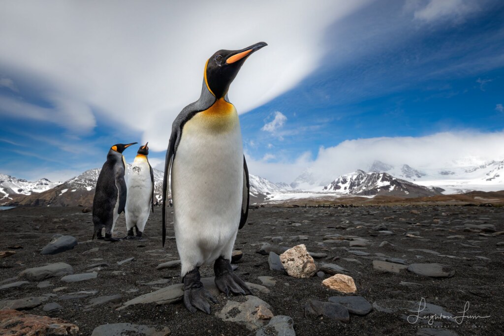 From a past Art of Seeing Antarctica adventure