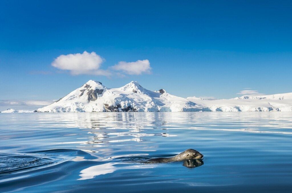From a past Art of Seeing Antarctica adventure
