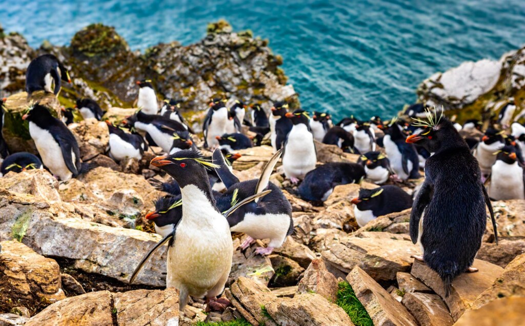 From a past Art of Seeing Antarctica adventure