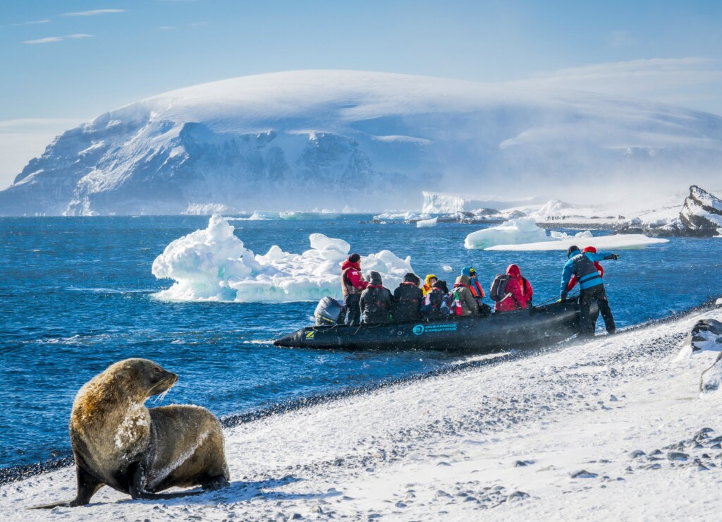 From a past Art of Seeing Antarctica adventure