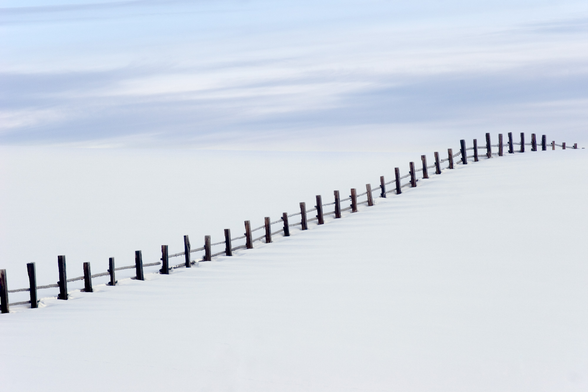 Winter Fenceline — a line of fence posts curving away across deep snow