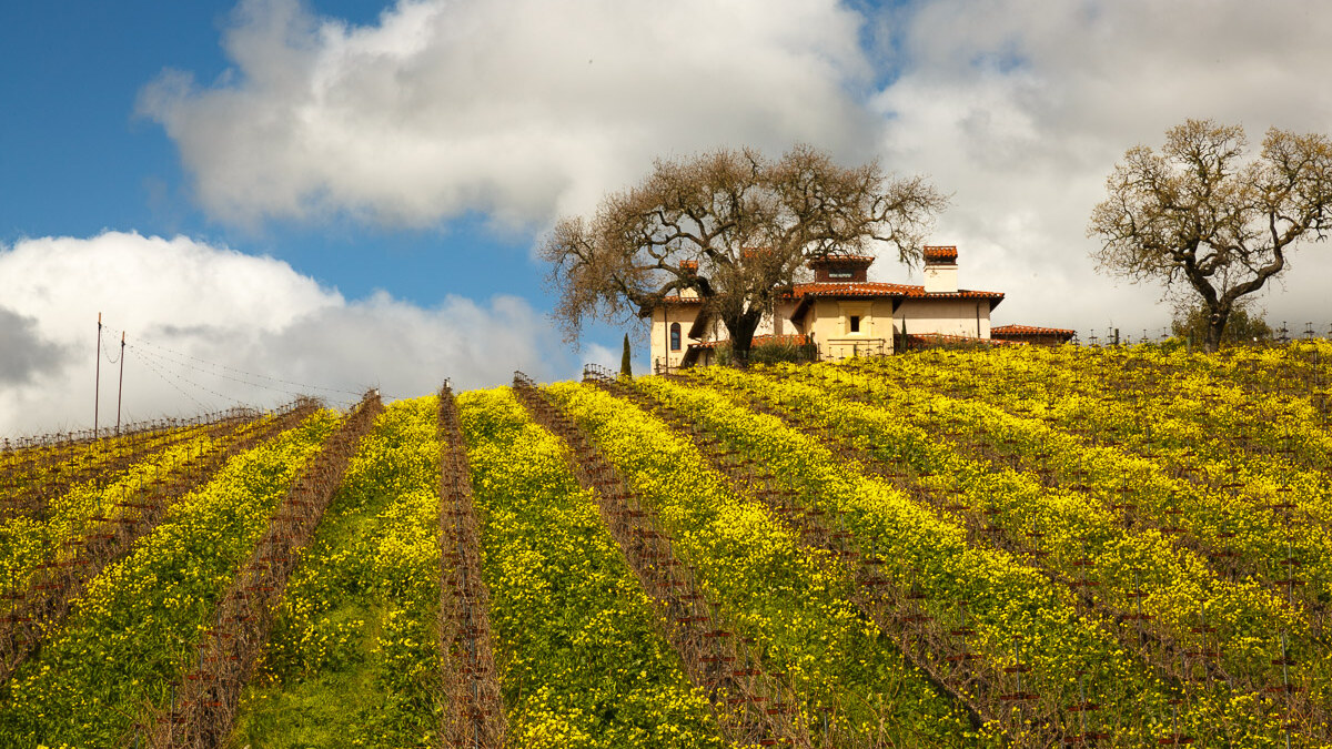 The Santa Barbara Backcountry in Spring
