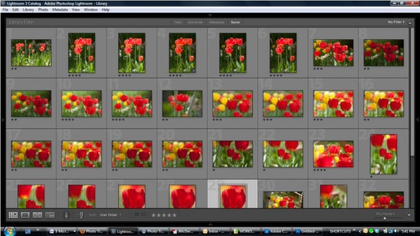 Photo Tip: Look at Small Images to See the Big Picture