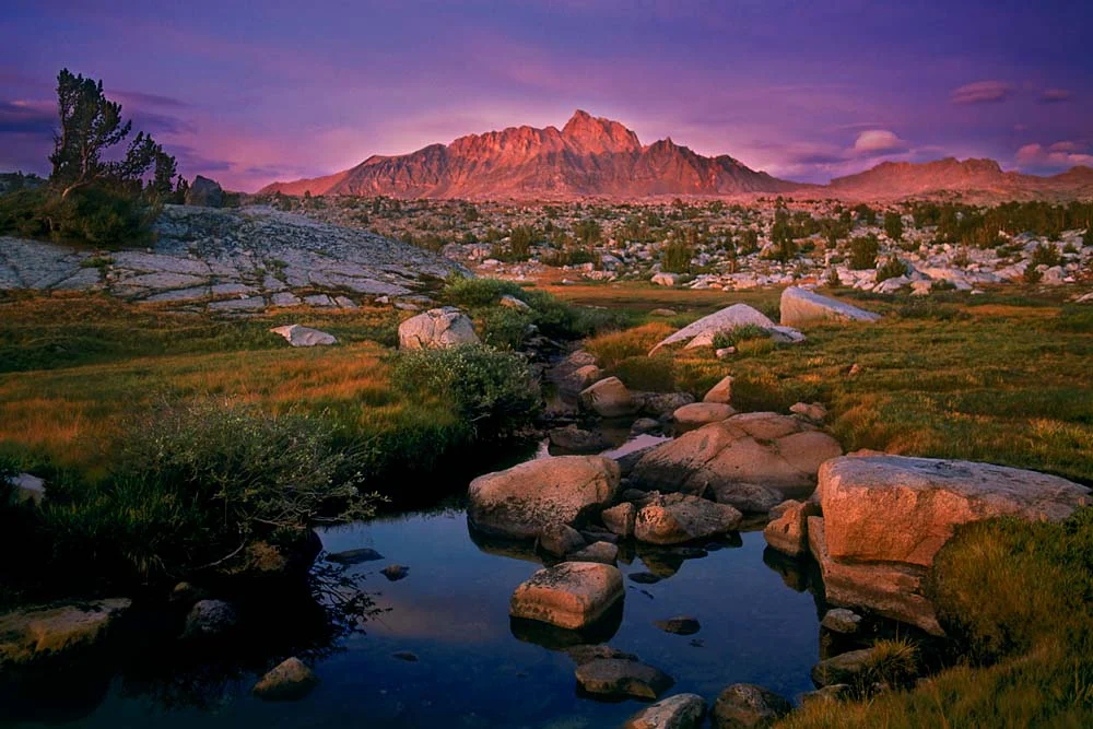 Best of Nature