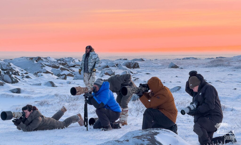 From a past Art of Seeing Churchill Polar Bears adventure