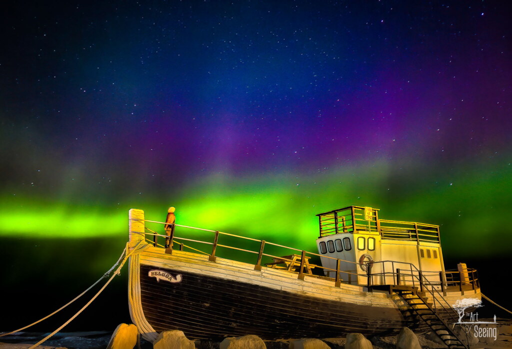 From a past Art of Seeing Churchill Polar Bears adventure