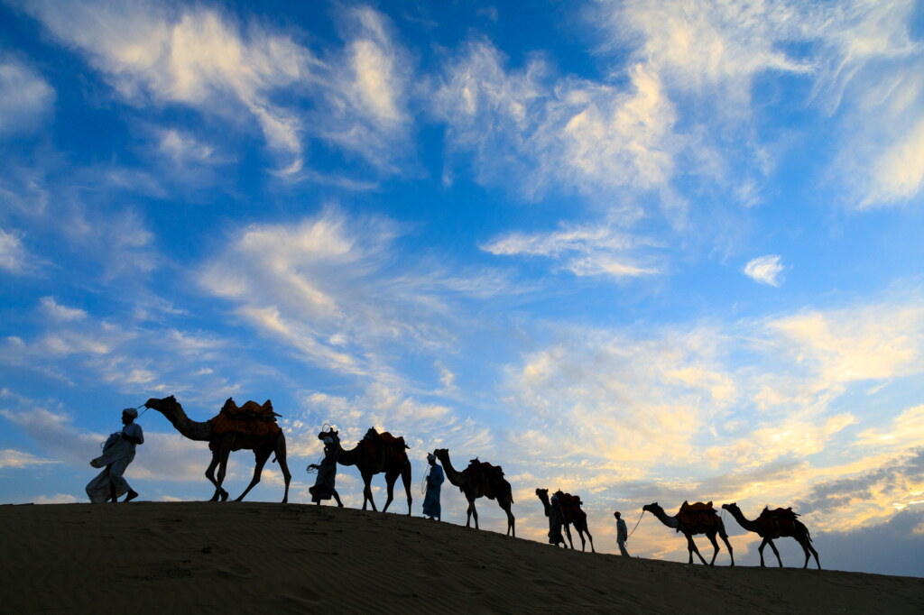 A photograph from an Art of Seeing Colors of India workshop