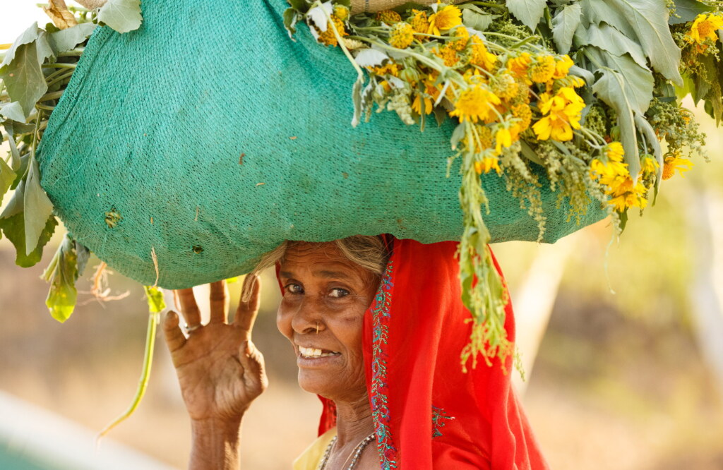 A photograph from an Art of Seeing Colors of India workshop
