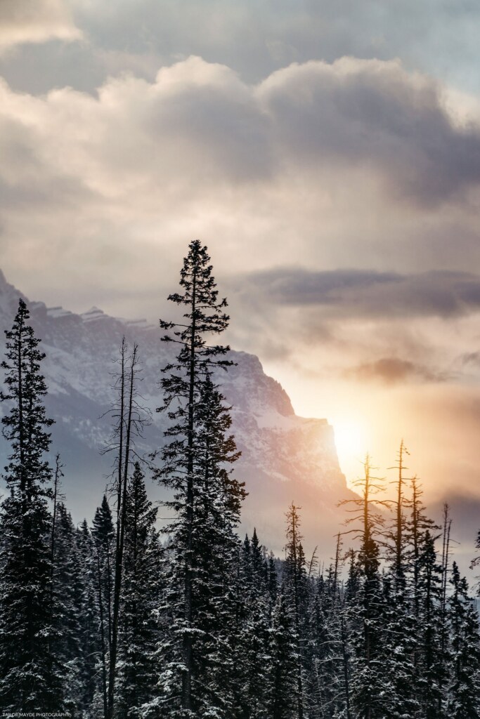 A photograph by Emily Allen