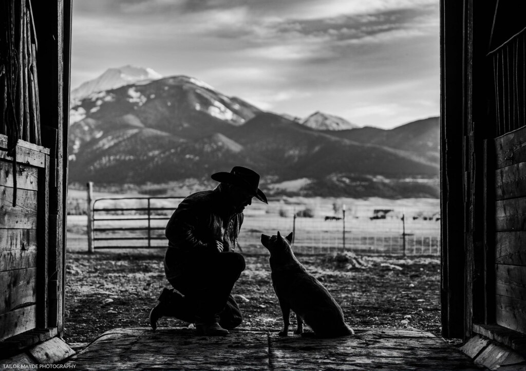 A photograph by Emily Allen
