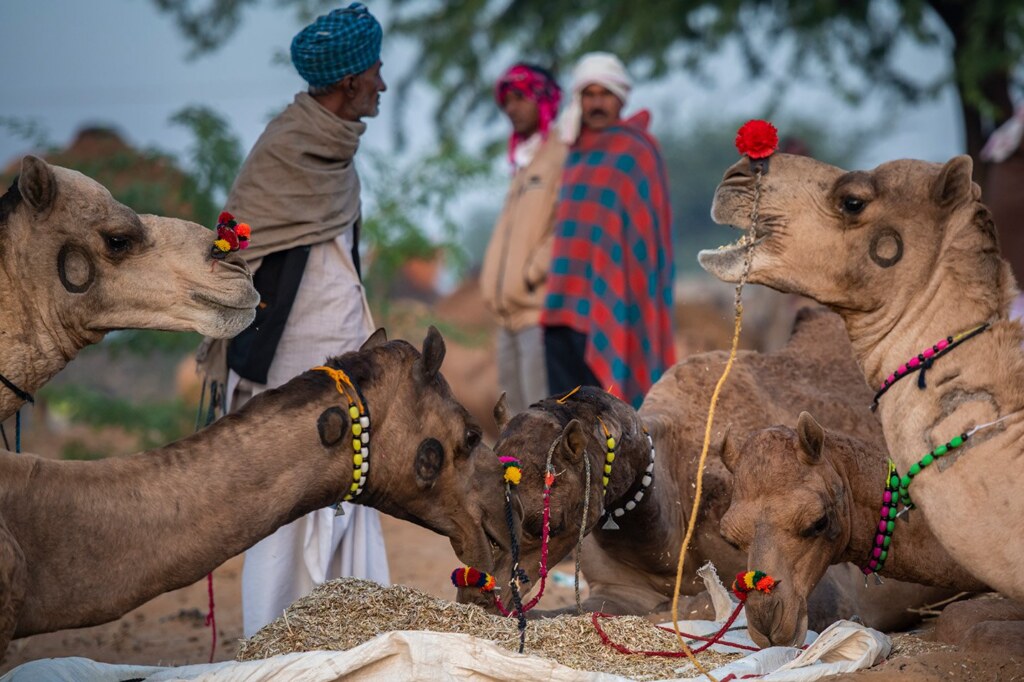 A photograph by Harsh Agarwal