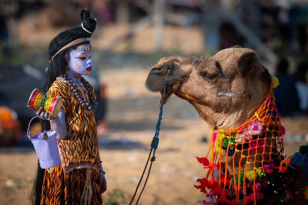 A photograph by Harsh Agarwal