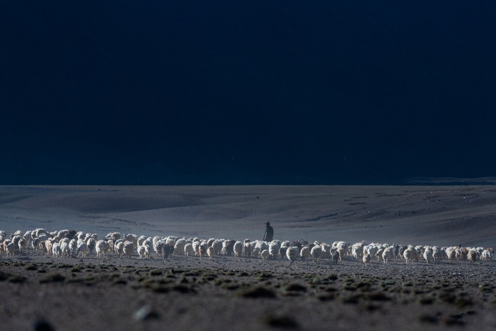 A photograph by Harsh Agarwal