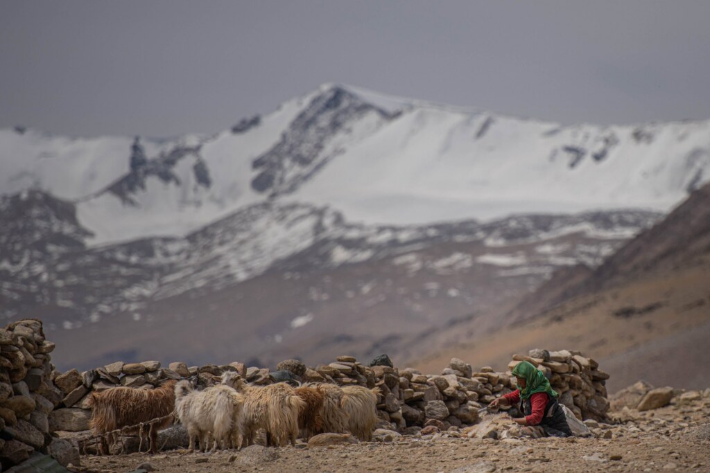 A photograph by Harsh Agarwal