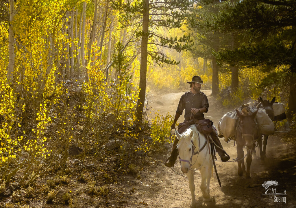 A photograph from an Art of Seeing High Sierra on Horseback Fall Colors workshop