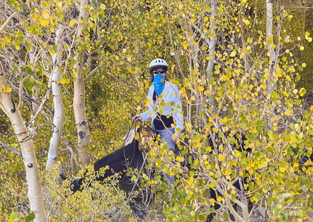 A photograph from an Art of Seeing High Sierra on Horseback Fall Colors workshop