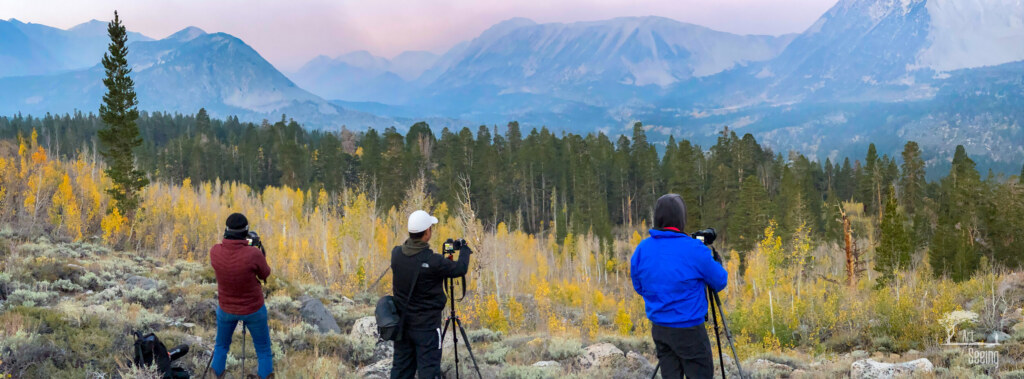 A photograph from an Art of Seeing High Sierra on Horseback Fall Colors workshop