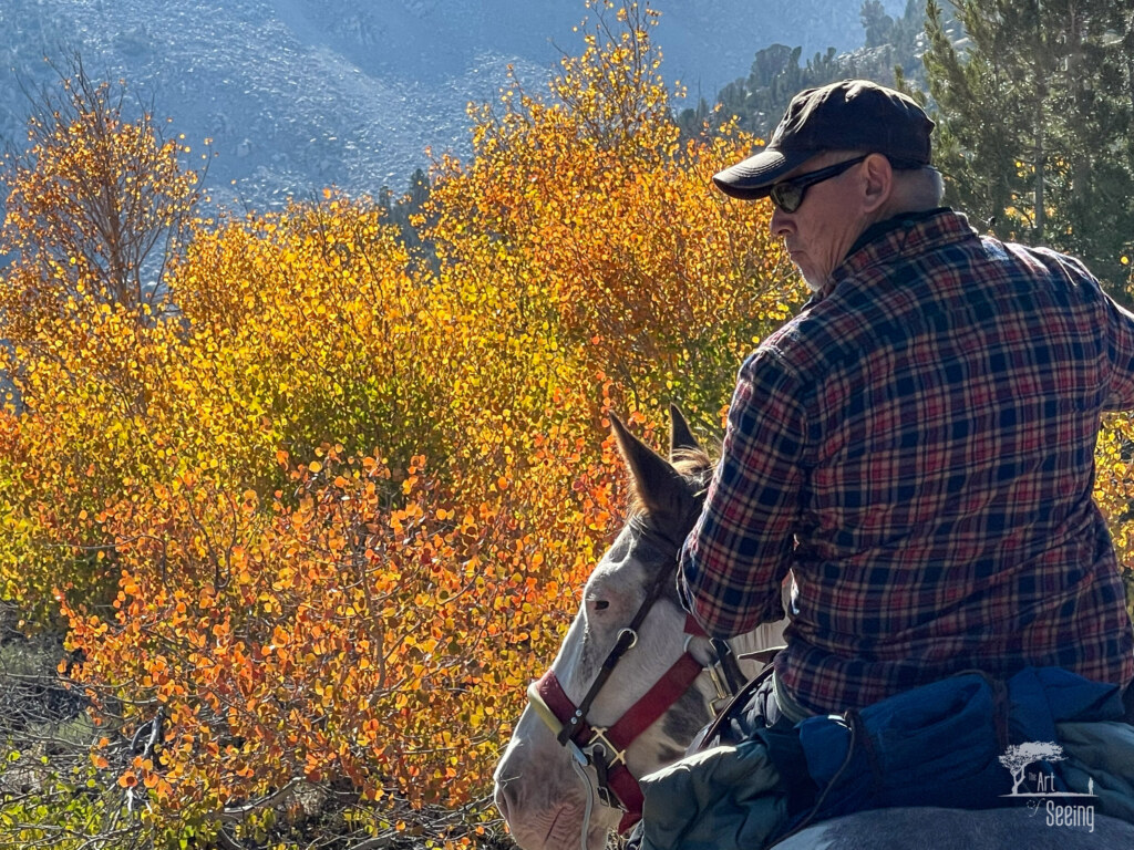 A photograph from an Art of Seeing High Sierra on Horseback Fall Colors workshop