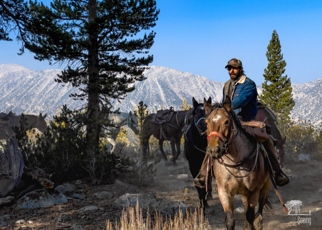 A photograph from an Art of Seeing High Sierra on Horseback Fall Colors workshop