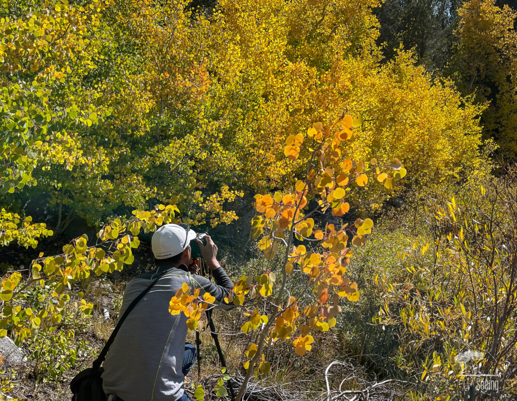 A photograph from an Art of Seeing High Sierra on Horseback Fall Colors workshop