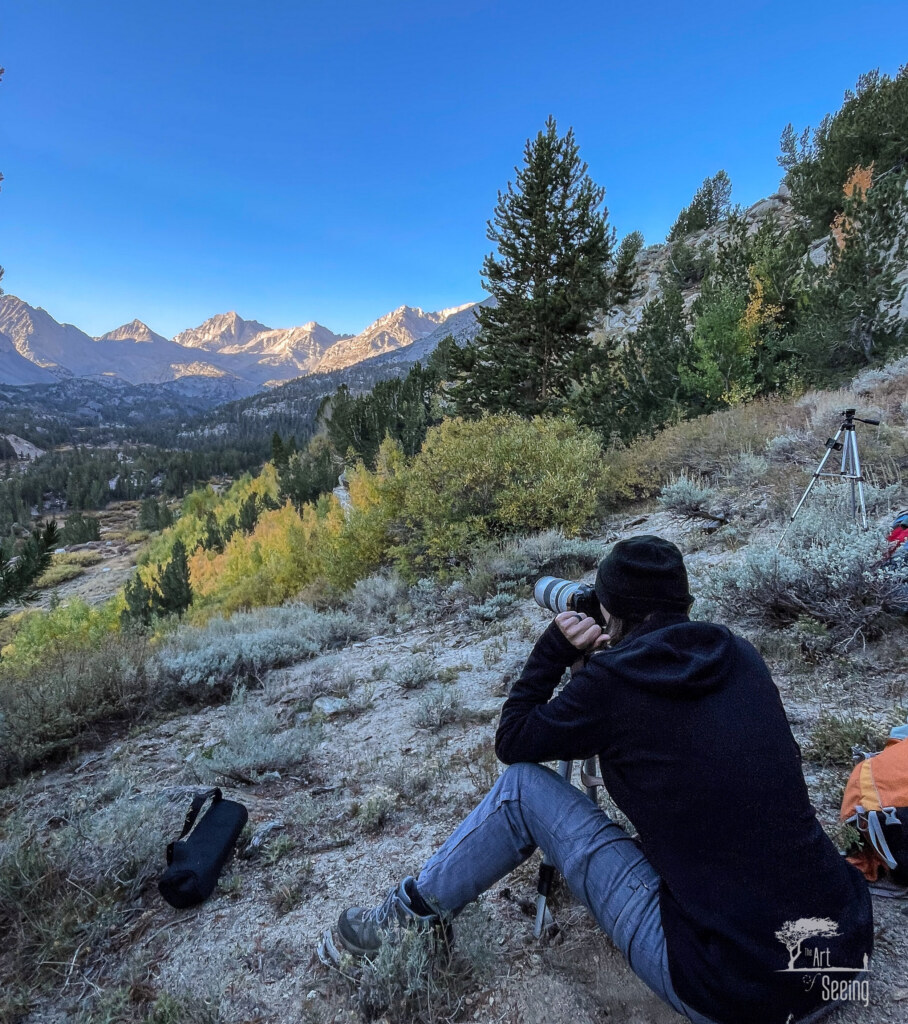 A photograph from an Art of Seeing High Sierra on Horseback Fall Colors workshop