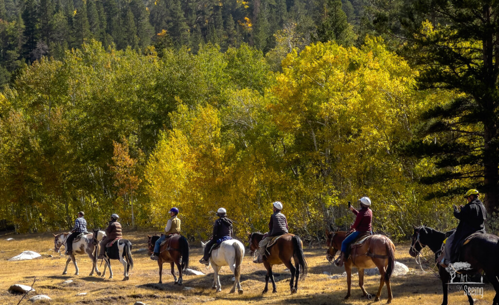 A photograph from an Art of Seeing High Sierra on Horseback Fall Colors workshop