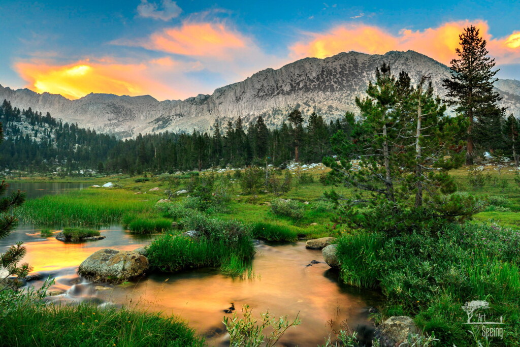 A photograph from an Art of Seeing High Sierra on Horseback workshop