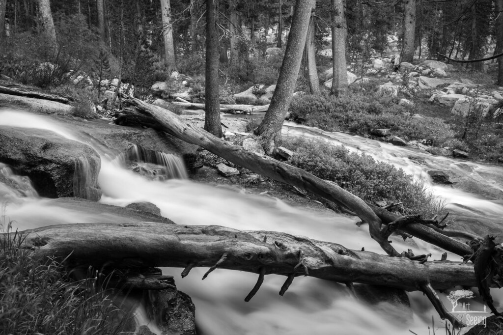 A photograph from an Art of Seeing High Sierra on Horseback workshop