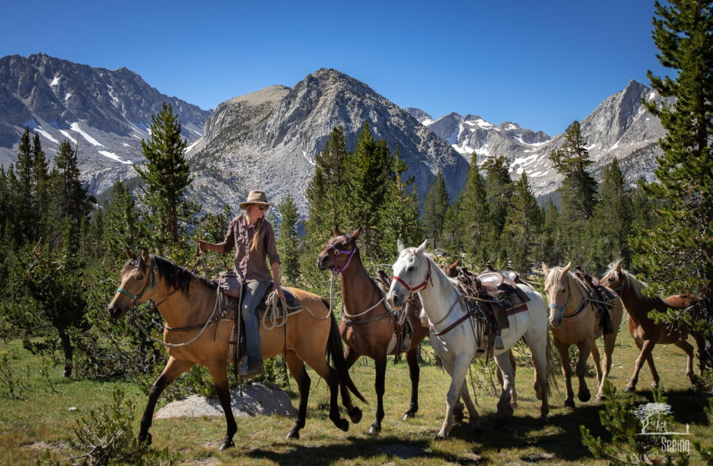 A photograph from an Art of Seeing High Sierra on Horseback workshop