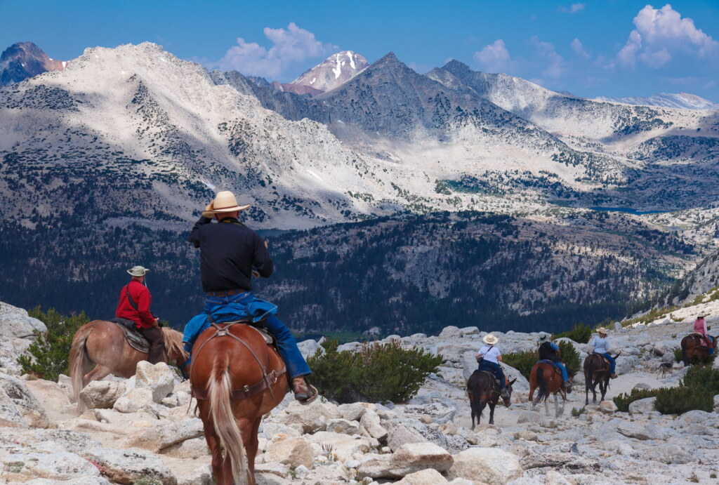 A photograph from an Art of Seeing High Sierra on Horseback workshop