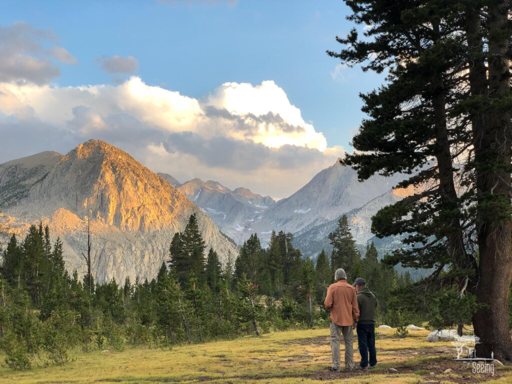 A photograph from an Art of Seeing High Sierra on Horseback workshop