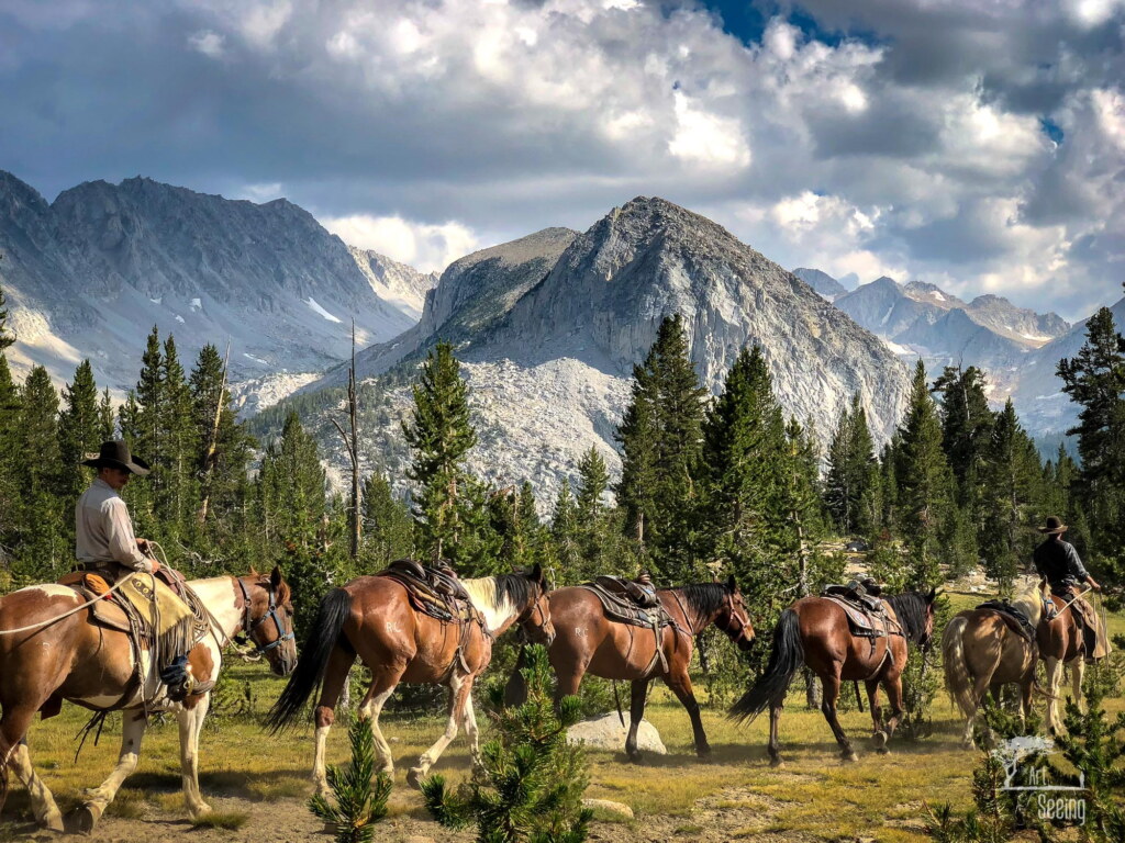 A photograph from an Art of Seeing High Sierra on Horseback workshop