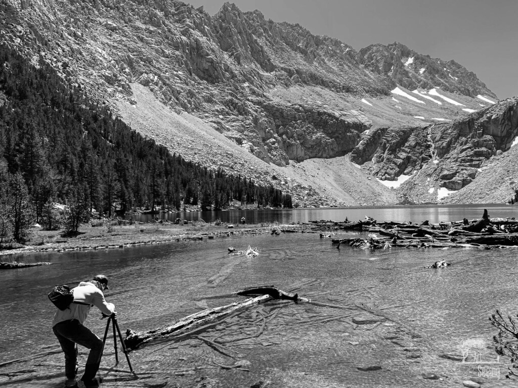 A photograph from an Art of Seeing High Sierra on Horseback workshop