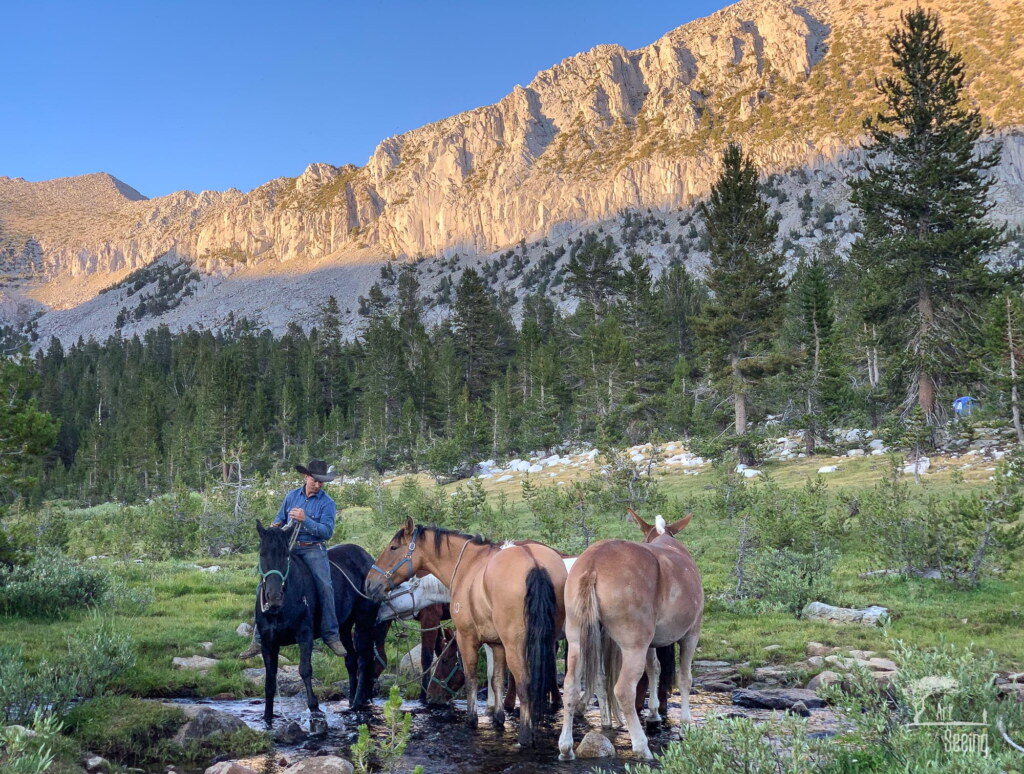 A photograph from an Art of Seeing High Sierra on Horseback workshop