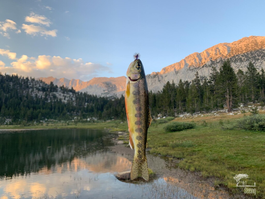 A photograph from an Art of Seeing High Sierra on Horseback workshop