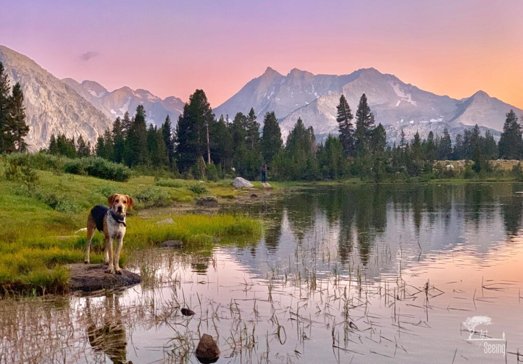 A photograph from an Art of Seeing High Sierra on Horseback workshop