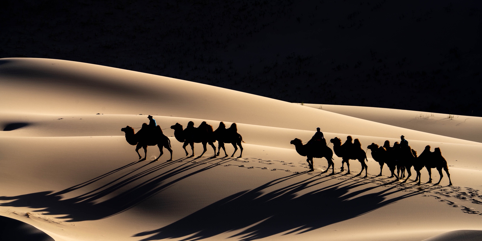 A camel caravan crossing sunlit dunes