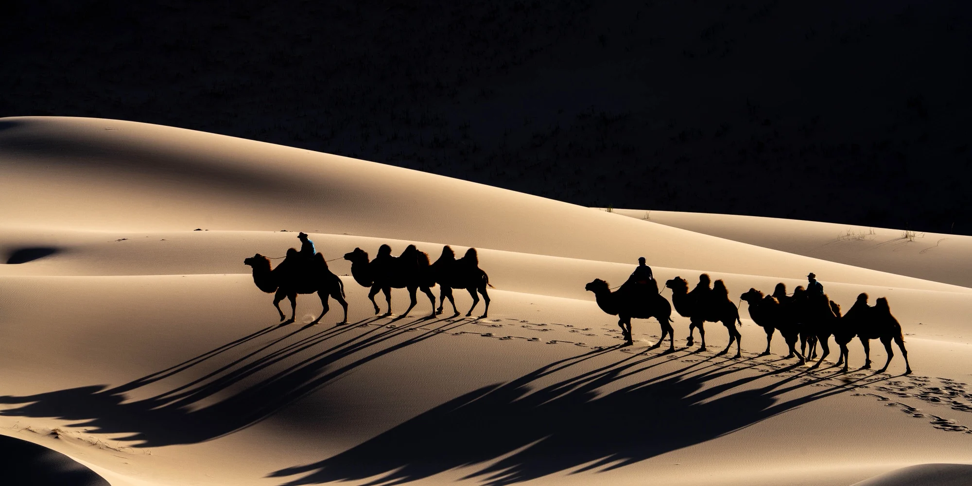 A camel caravan crossing sunlit dunes