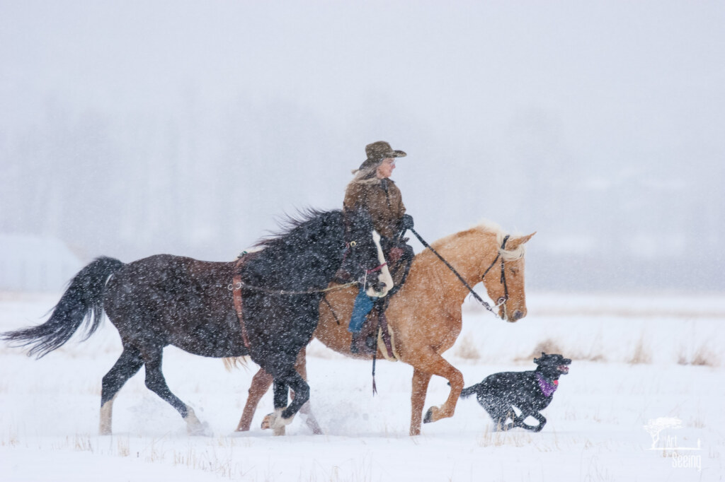Out with My Friends, an equine photograph by Ken Lee