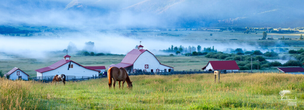 Humble Beginnings, an equine photograph by Ken Lee
