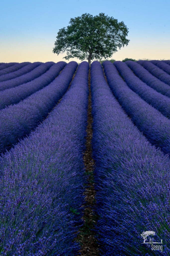 A landscape photograph by Ken Lee